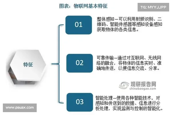 Messari:详解 Flow 网络现状、技术特点与竞争格局 Messari:详解 Flow 网络现状、技术特点与竞争格局